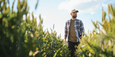 farmer looking at field